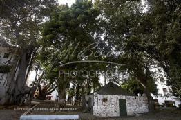 Image du Maroc Professionnelle de  Le sanctuaire du saint Sidi Bousmara est visité depuis longtemps par tous ceux qui sont atteint de la rage convergent vers ce lieu avec leurs offrandes et plante un clou sur l’arbre, ou sur le mur Est dans l’espoir d’une guérison. La légende raconte qu’un vieux pèlerin à la barbe blanche drapé de blanc frappa alors le sol avec son bâton et une source jaillit du sol. Il s’installe à Casablanca au milieu du cimetière et plante un caoutchouc qui devint rapidement gigantesque. Jeudi 13 Octobre 2016. (Photo / Abdeljalil Bounhar) 